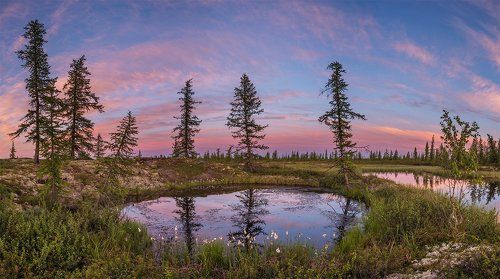 Летний вечер