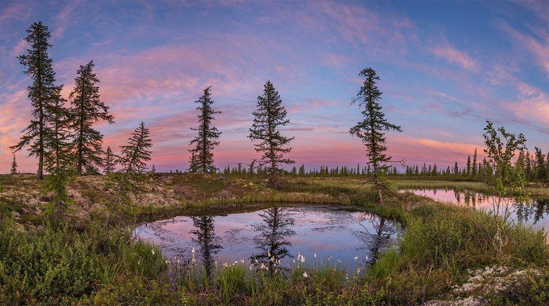 сибирь, север, лето Летний вечер фото превью