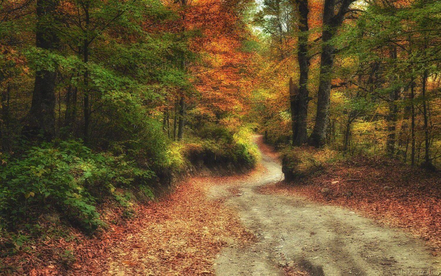 , Александр Круль