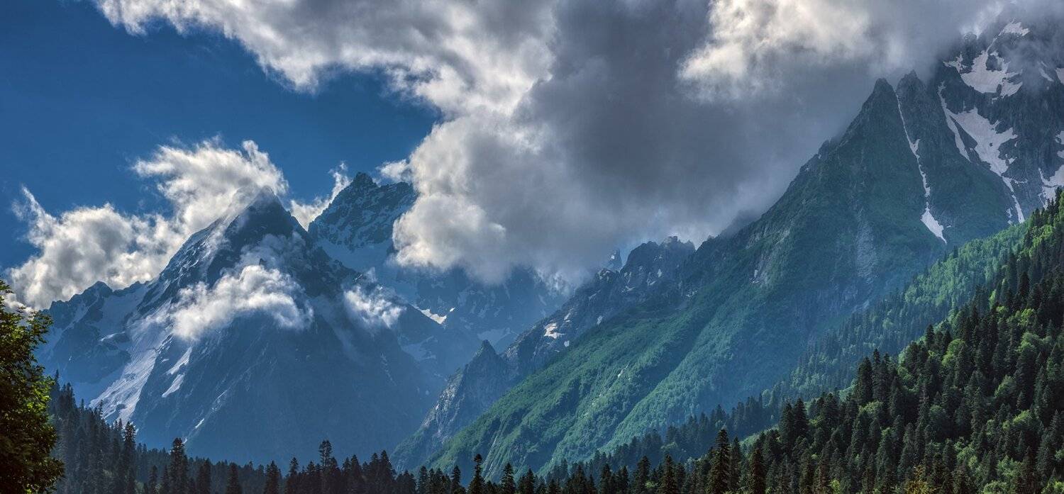 , Игорь Мелекесцев