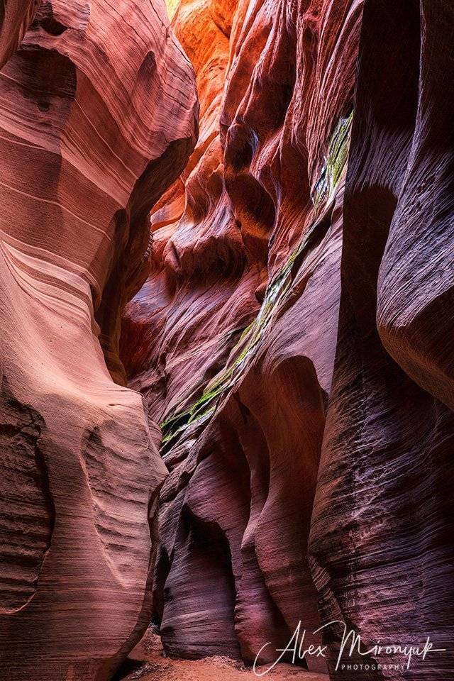 сша, аризона, юта, каньон, антилопа, волна, пустыня, индейцы, абстракция, пейзаж, свет, приключение, геология, Alex Mironyuk