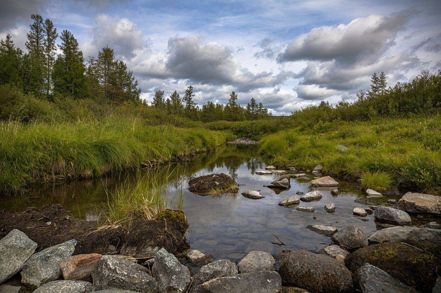 , Евгений Кужилев