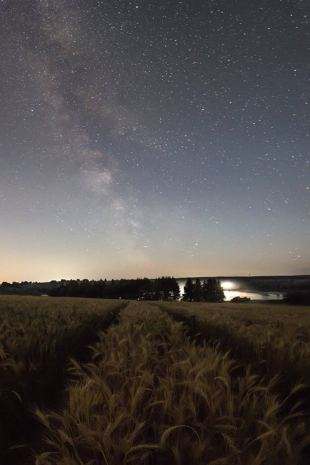 , Виталий Стрельцов