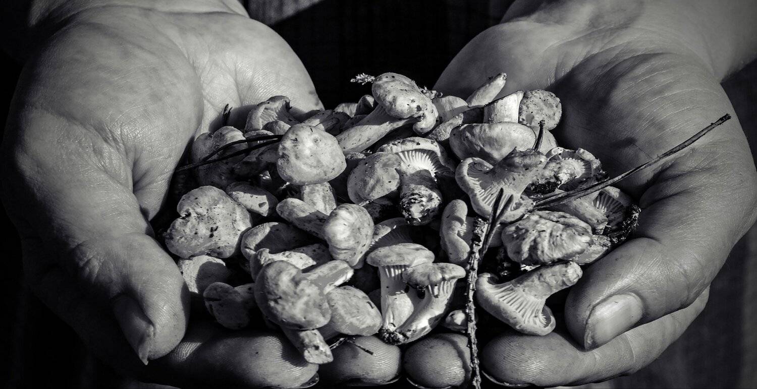 лето, ч/б, Sixten ( Сергей )