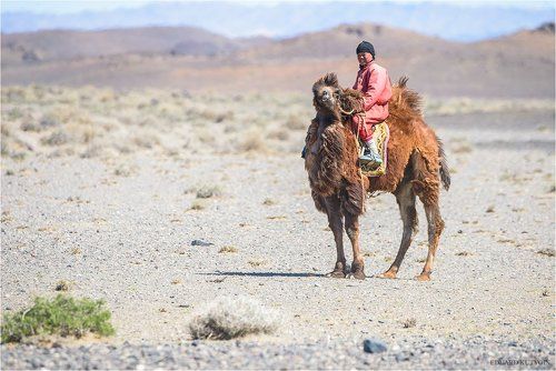 Мальчик-пастух.