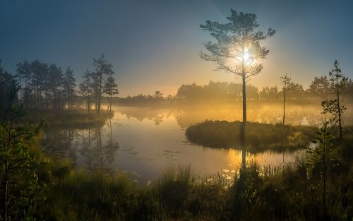 Сны полнолунья, или уплыть на островке.