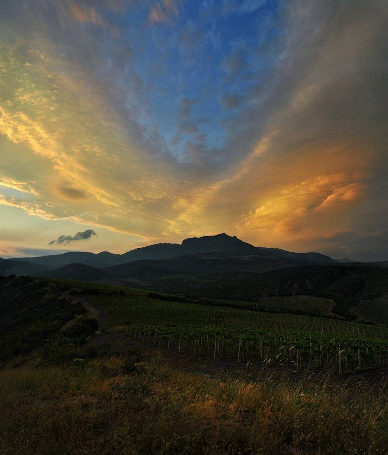 , Владимир Метцгер