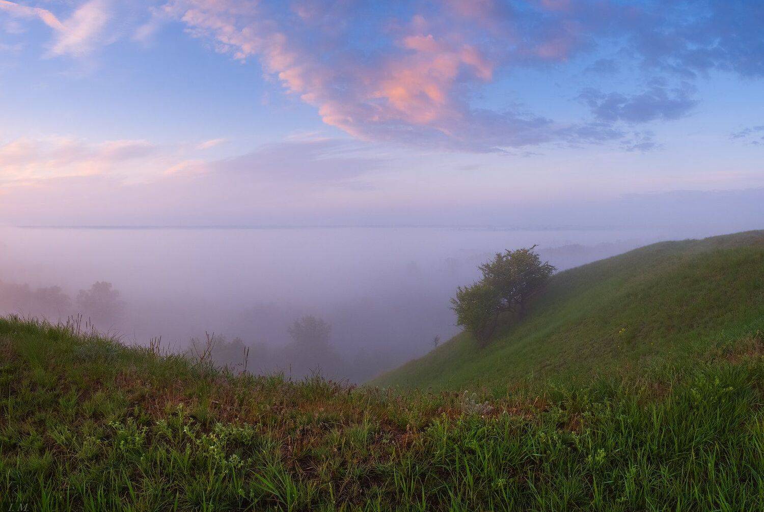 туман, утро, долина, панорама, деревья, холмы, небо, свет, fog, morning, spring, foggy, misty, valley, panorama, light, sky, clouds, trees, I'M