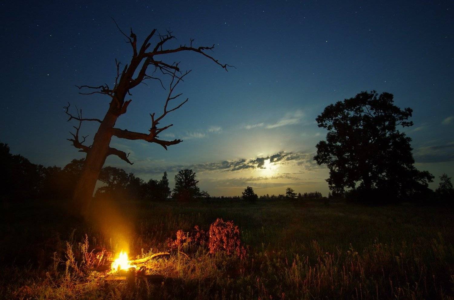 , Сергей Шляга