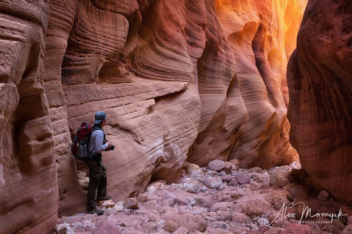 США, Аризона, Юта, каньон, Антилопа, Волна, пустыня, индейцы, абстракция, пейзаж, свет, приключение, геология, Alex Mironyuk