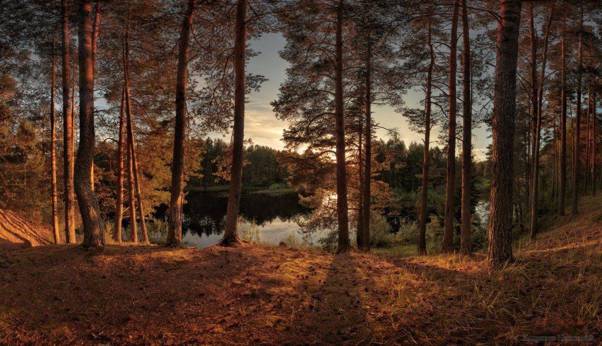 , Хохряков Николай