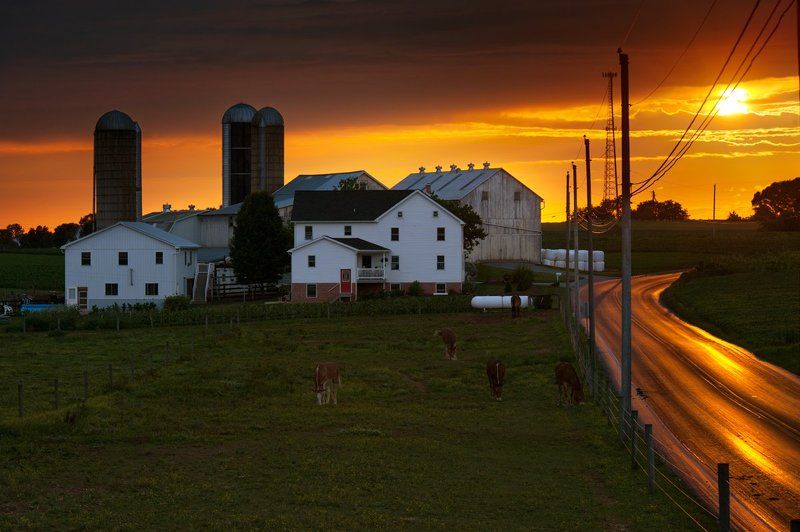 Sunshine Road фото превью