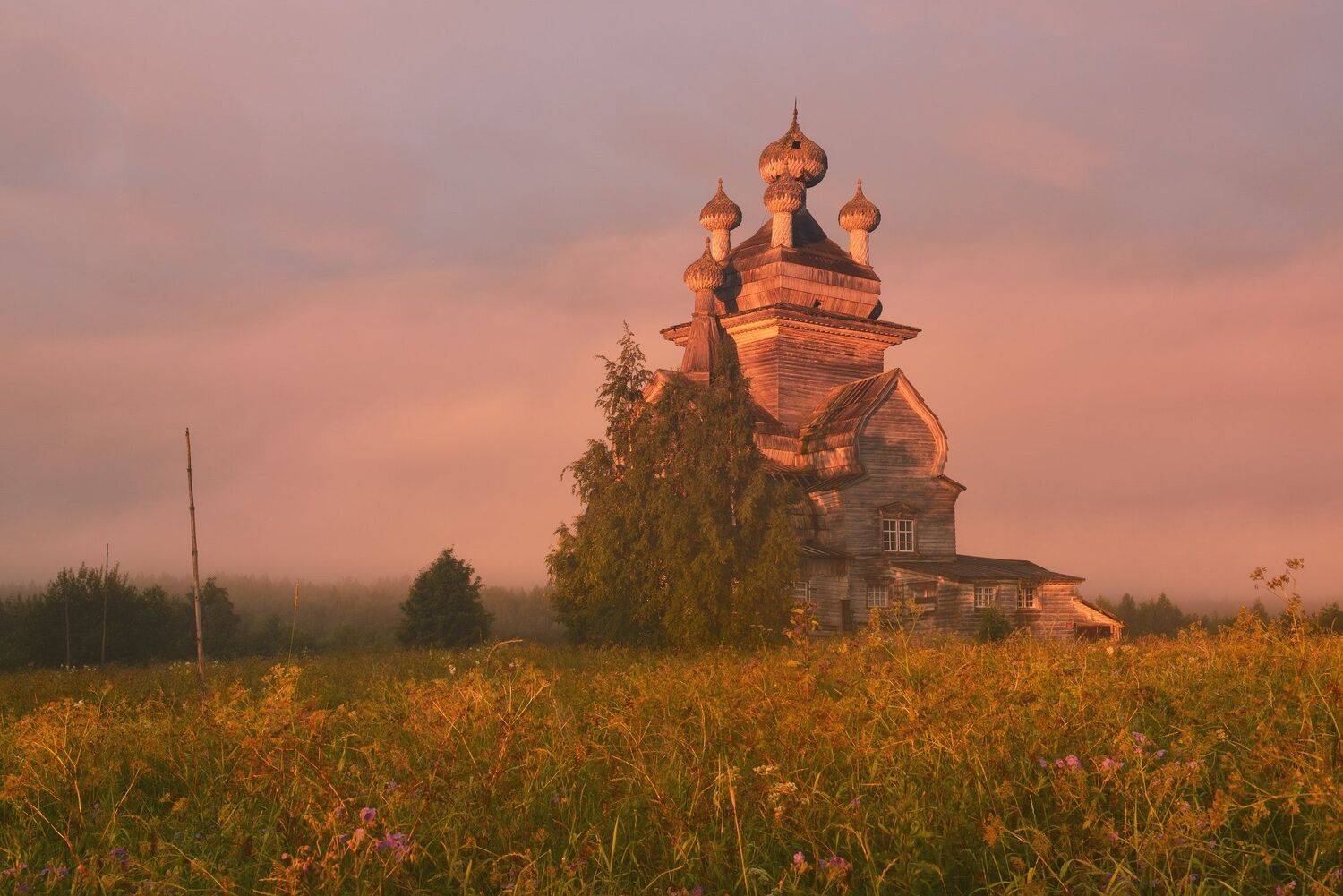 , Максим Евдокимов (www.wildphotorus.ru)