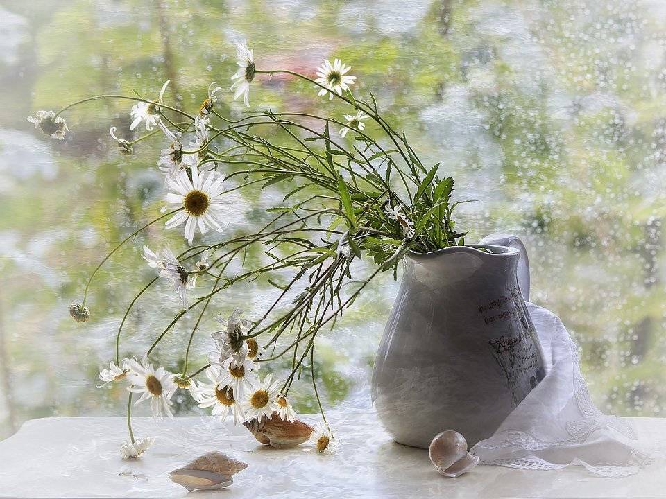 натюрморт, конец лета, увядающие цветы, букет, ракушки, настроение, художественное фото, ромашки, Ирина Приходько