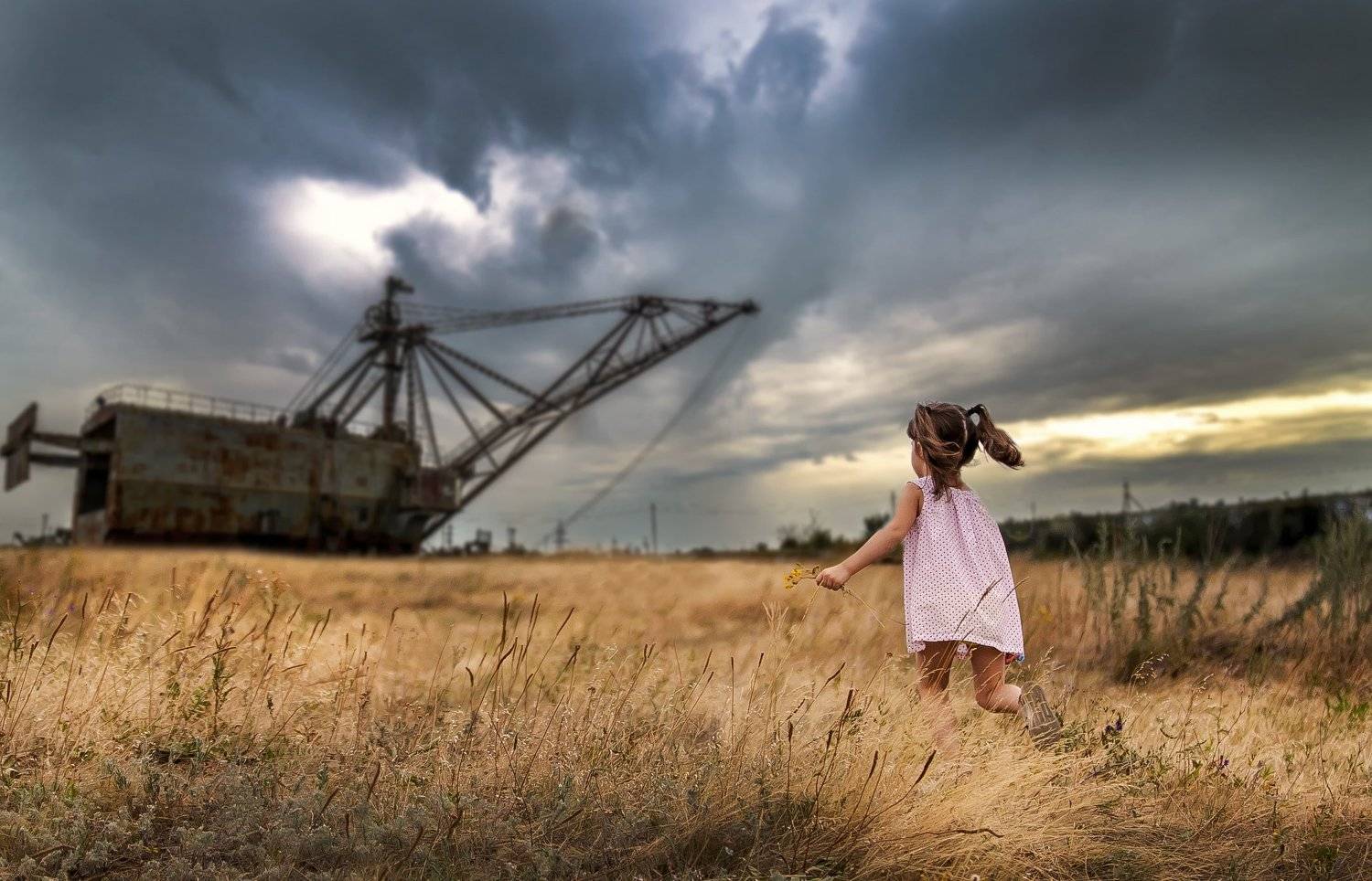 лето, трава, облака, небо, Техногенез, Никита Сердечный