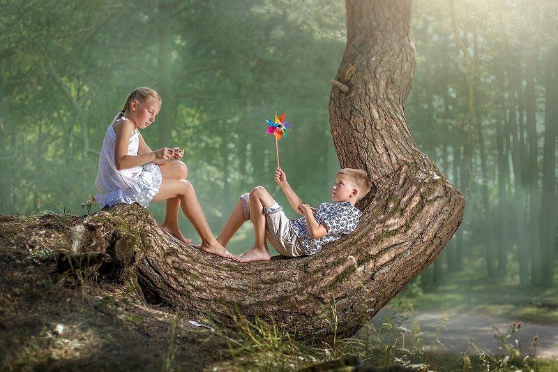 Children in the wood фото превью