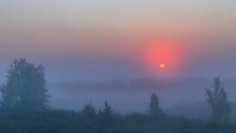 ямал , сибирь, природа, салехард , рассвет, ямал ,туман ,  пейзаж \