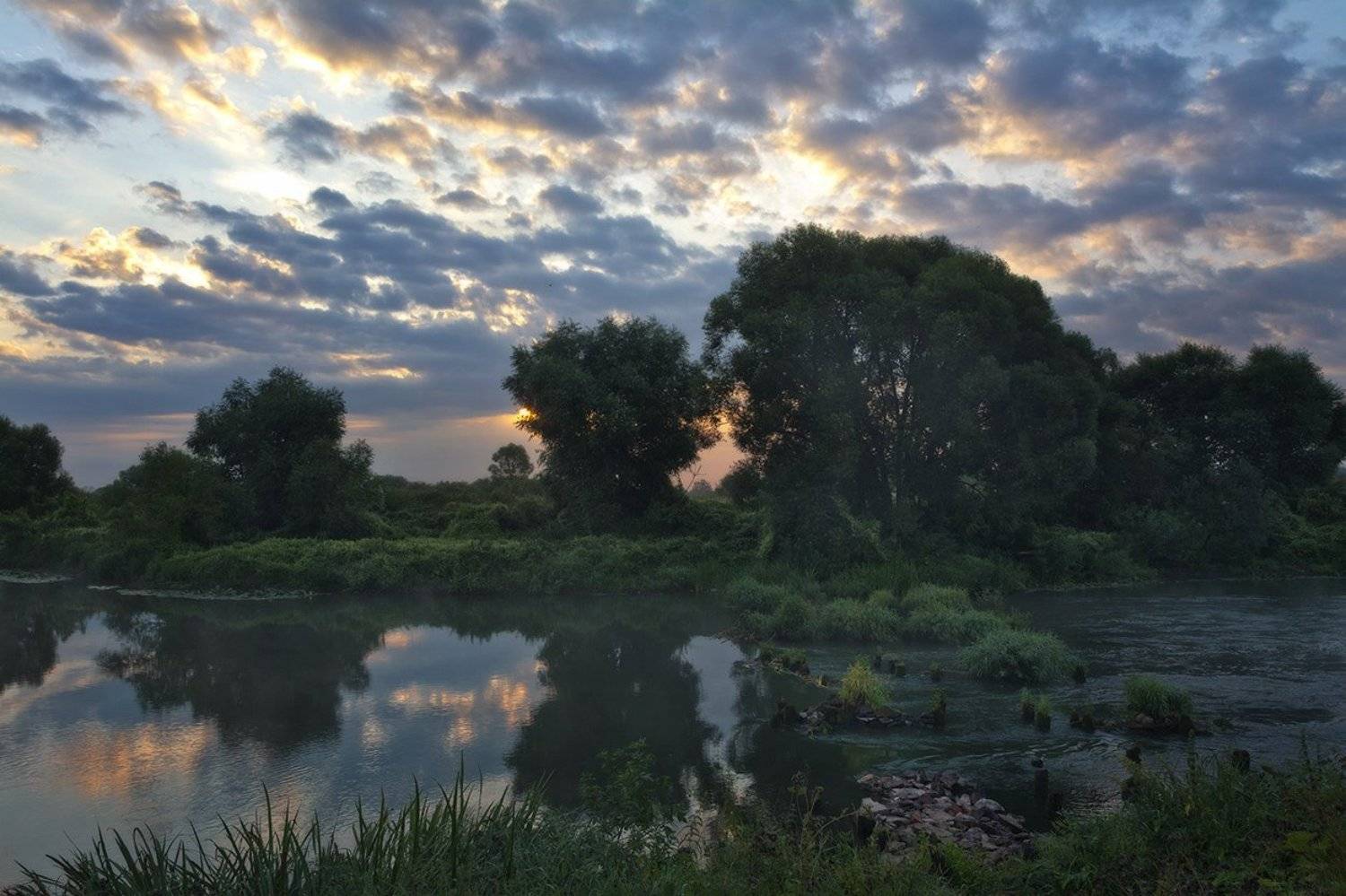 , Анатолий Зверев