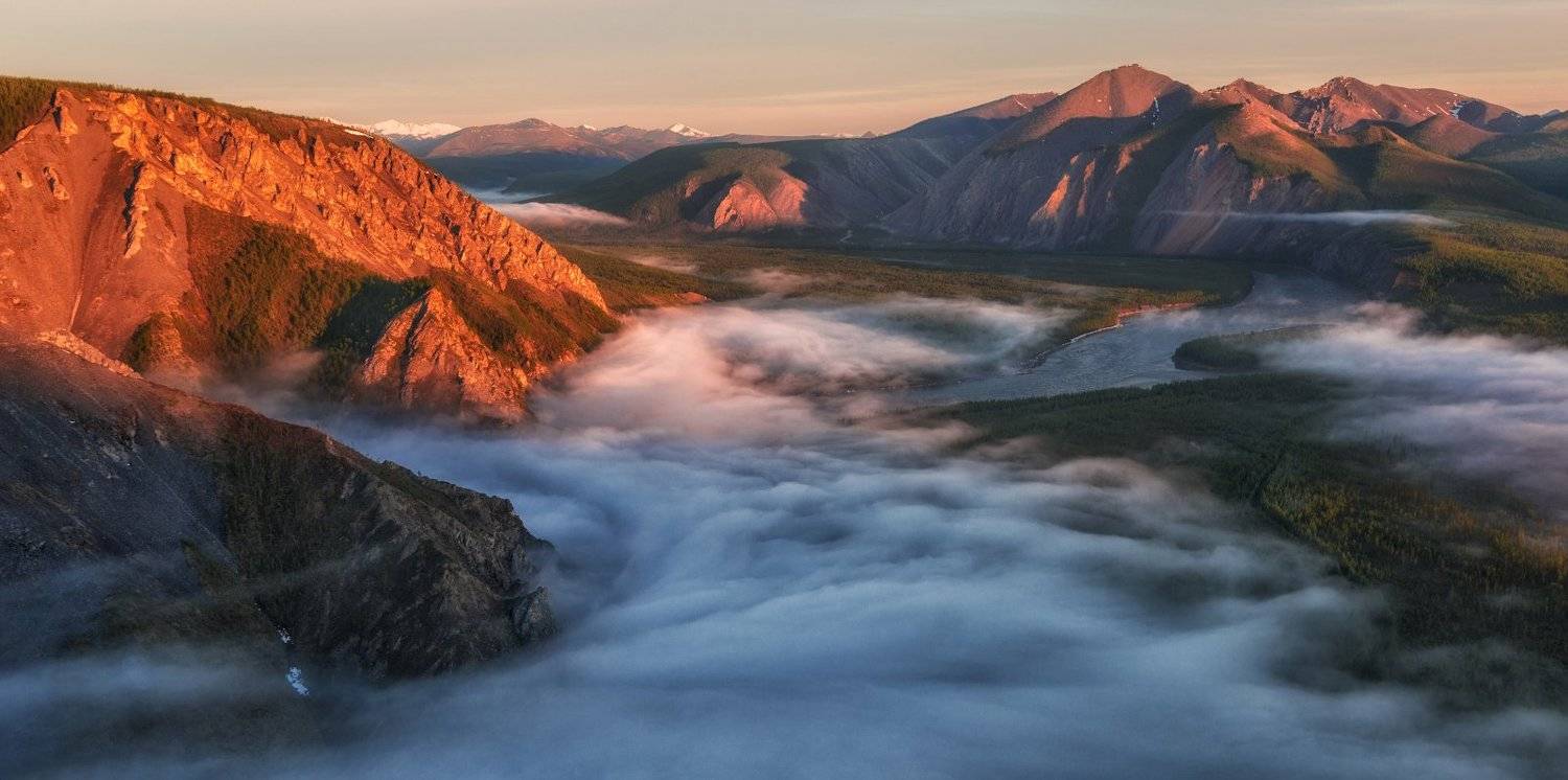 , Андрей Грачев