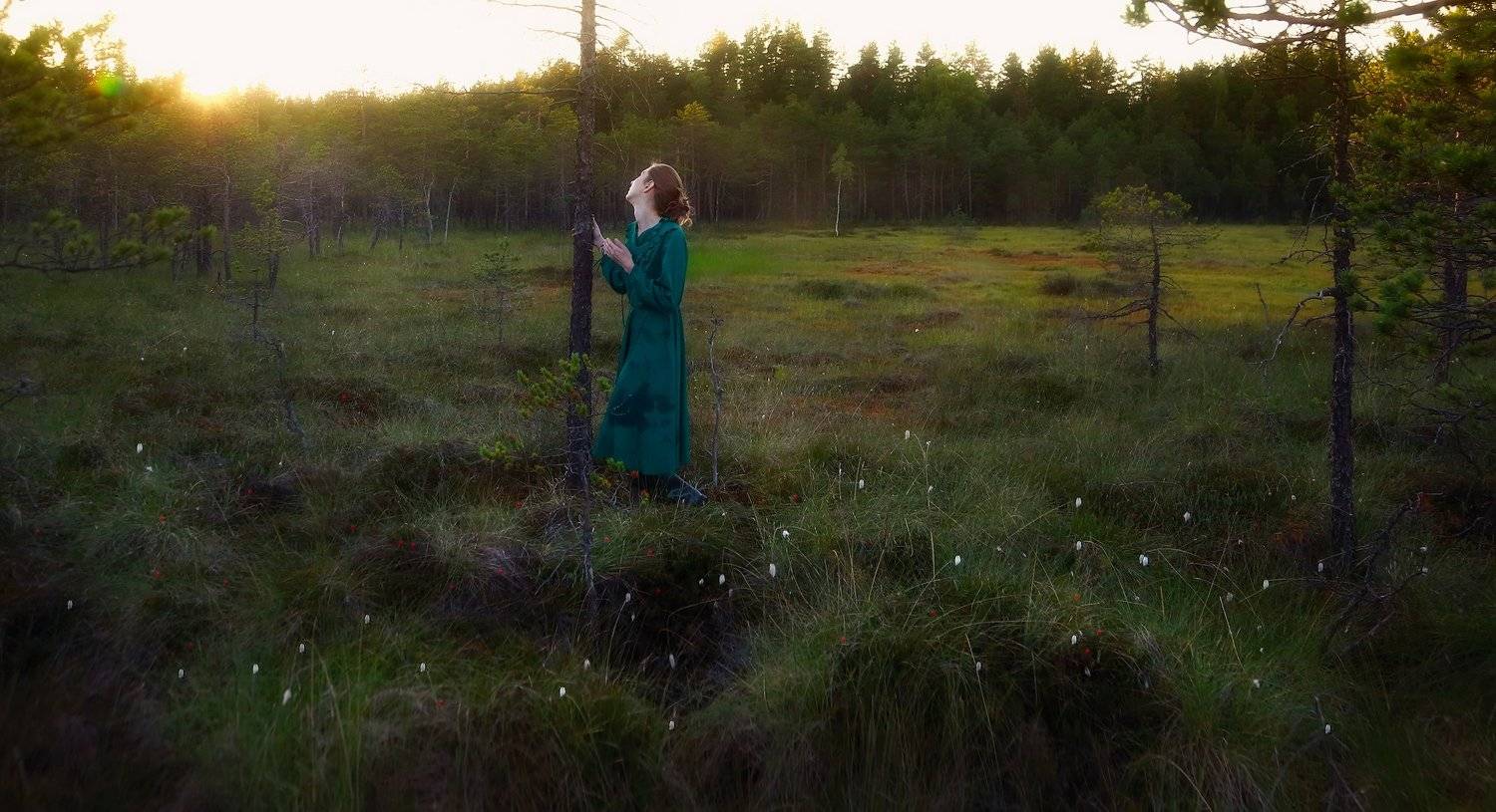 девушка, природа, красота, красивая, луг, болото, трава, деревья, атмосфера, лес, воздух, закат, солнце, лето, портрет, жанр, Постонен Екатерина