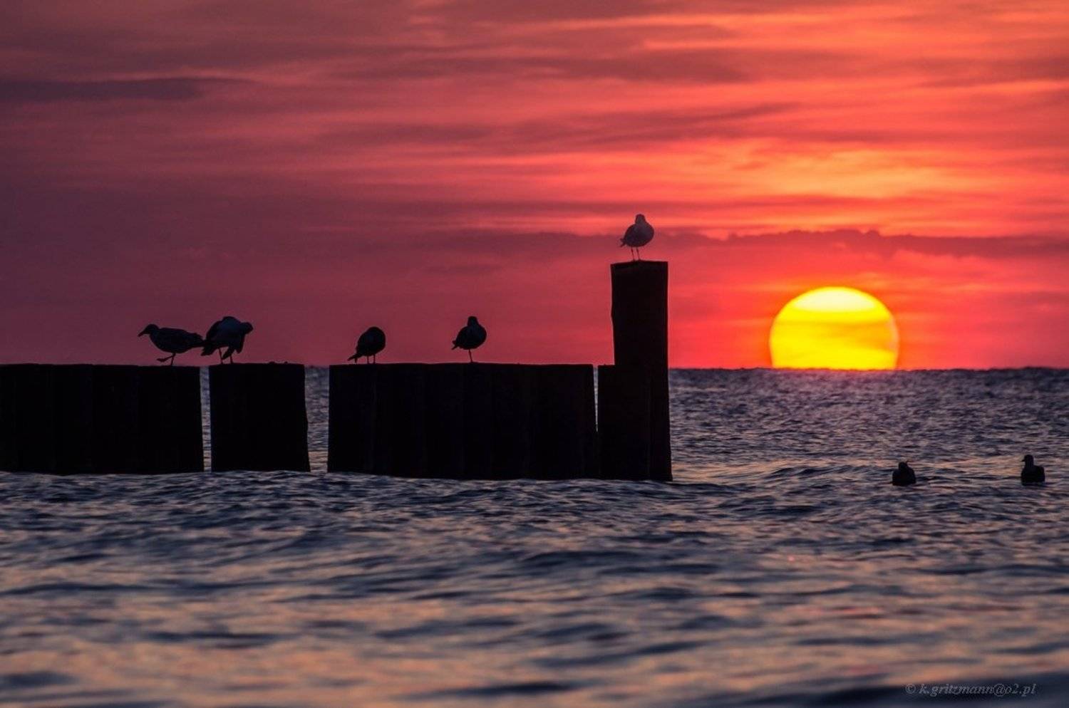 , Katarzyna Gritzmann