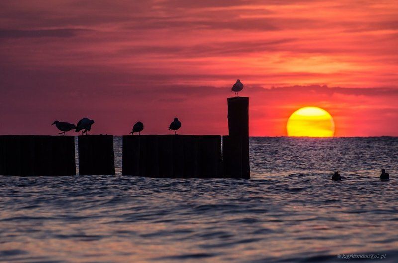 ... фото превью