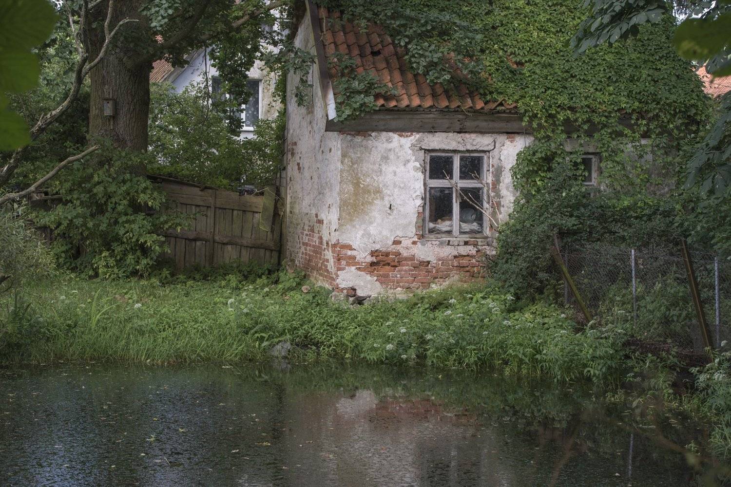 куршская коса, рыбачий, Ирина