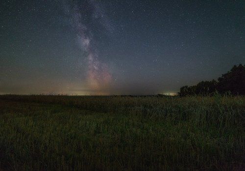 В бескрайних полях