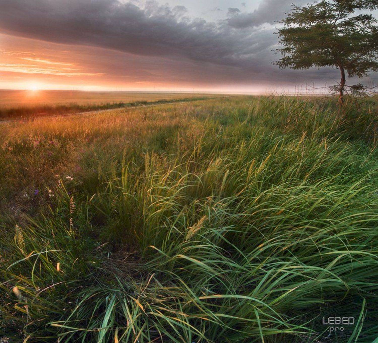 , Виктор Лебедь