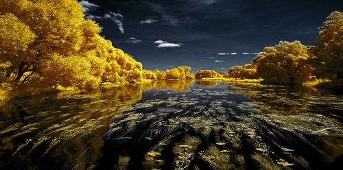 Золотое течение. Инфракрасная фотография.