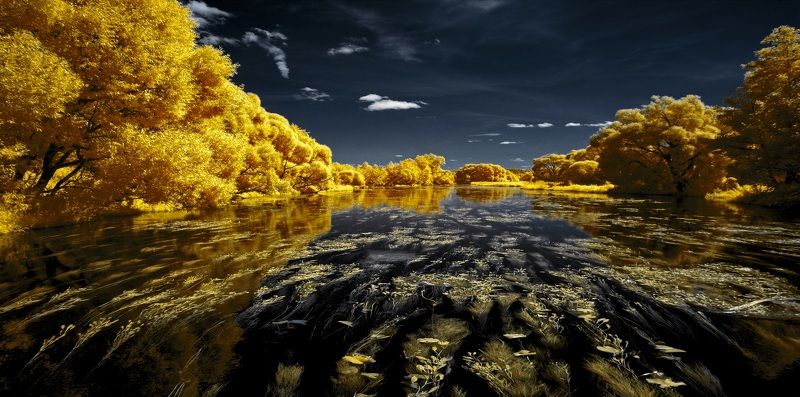 Золотое течение. Инфракрасная фотография. фото превью