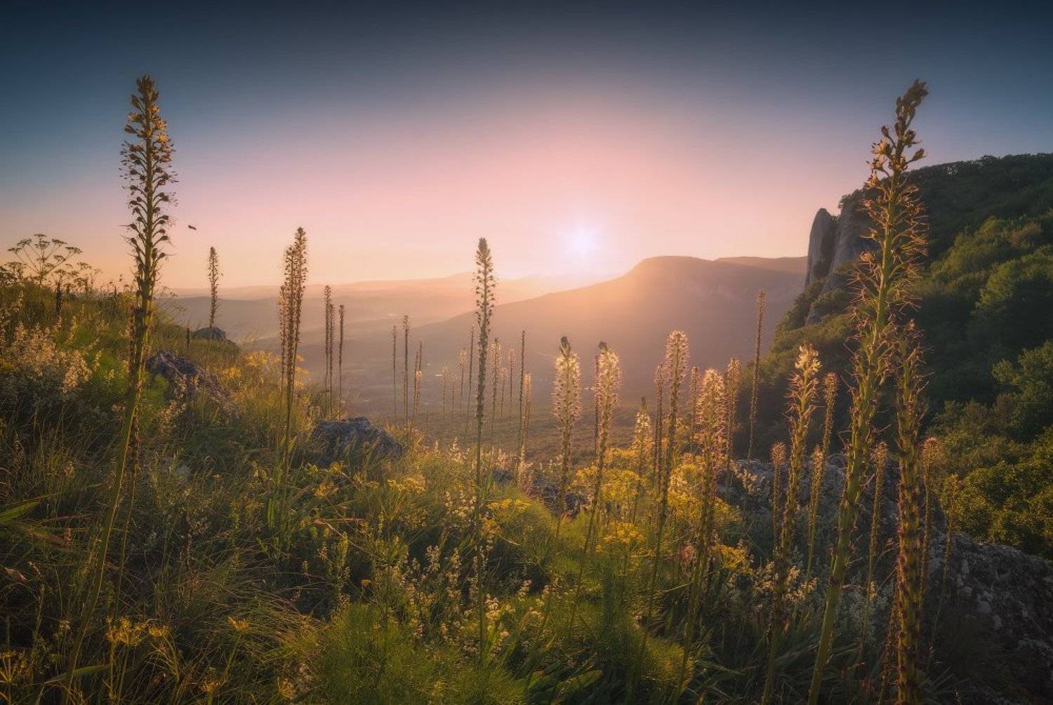 , Виталий Башкатов