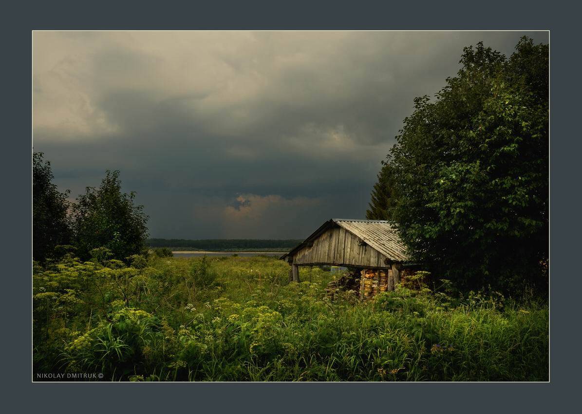 пейзаж, музыка, звоз, николай дмитрук