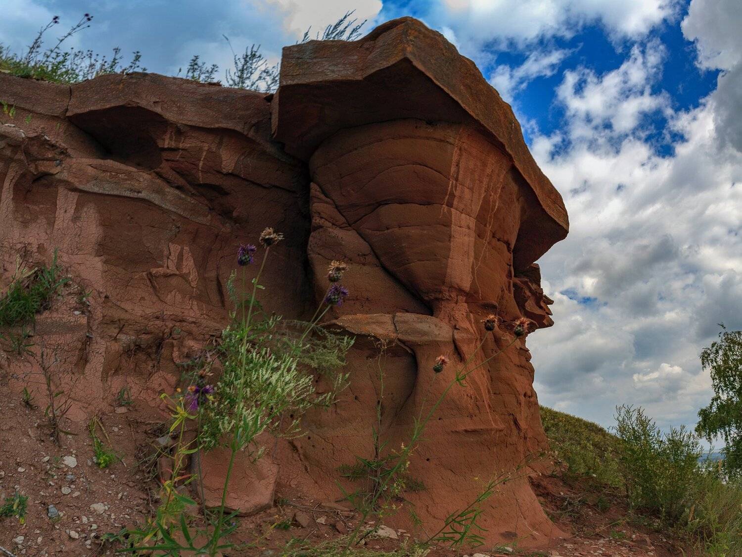 , Марат Кучкаев