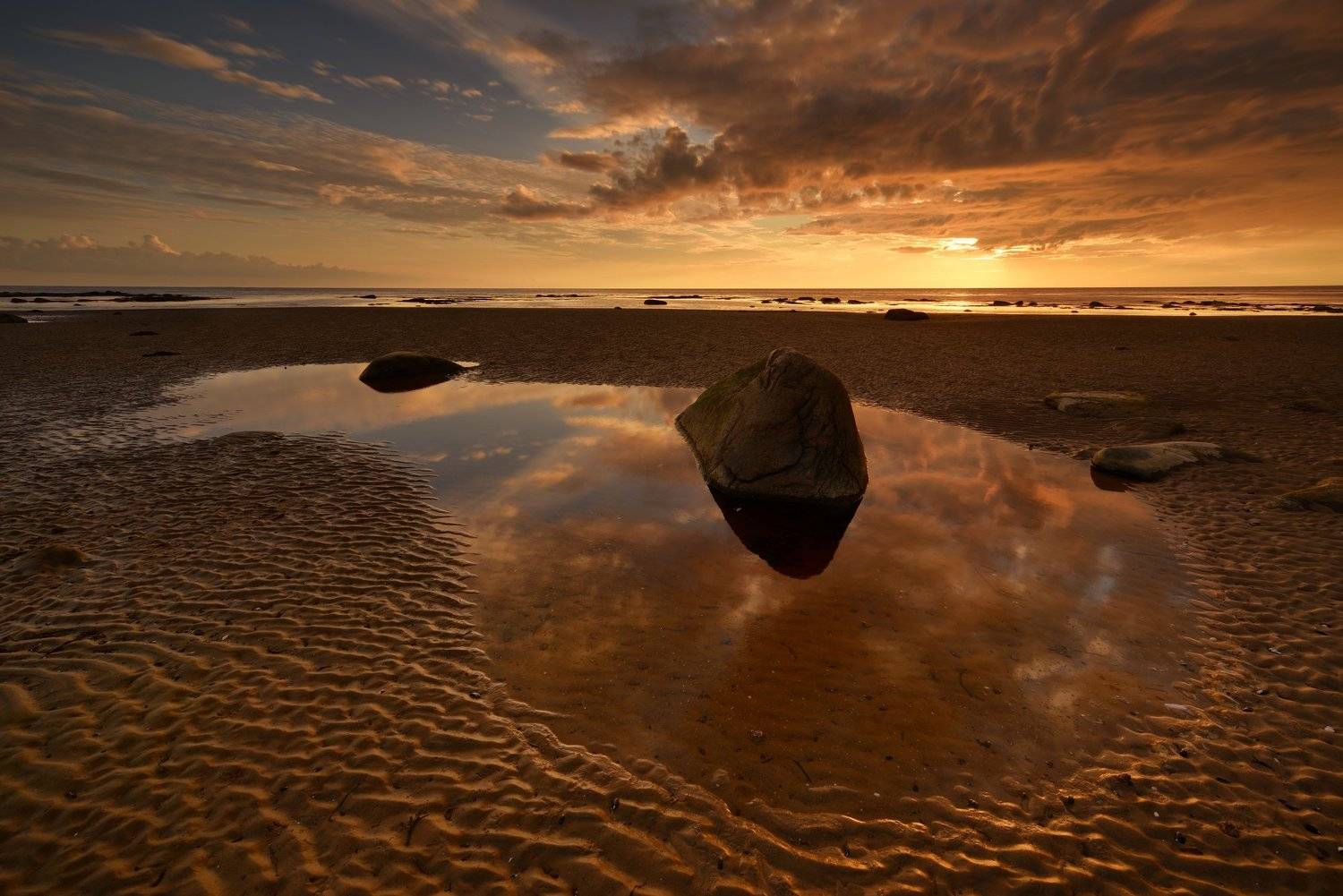 , Максим Евдокимов (www.wildphotorus.ru)