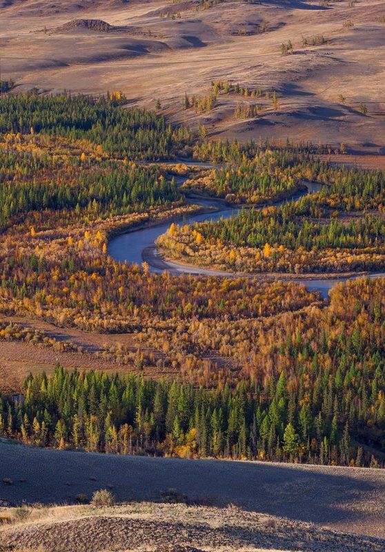 С добрым утром… фото превью