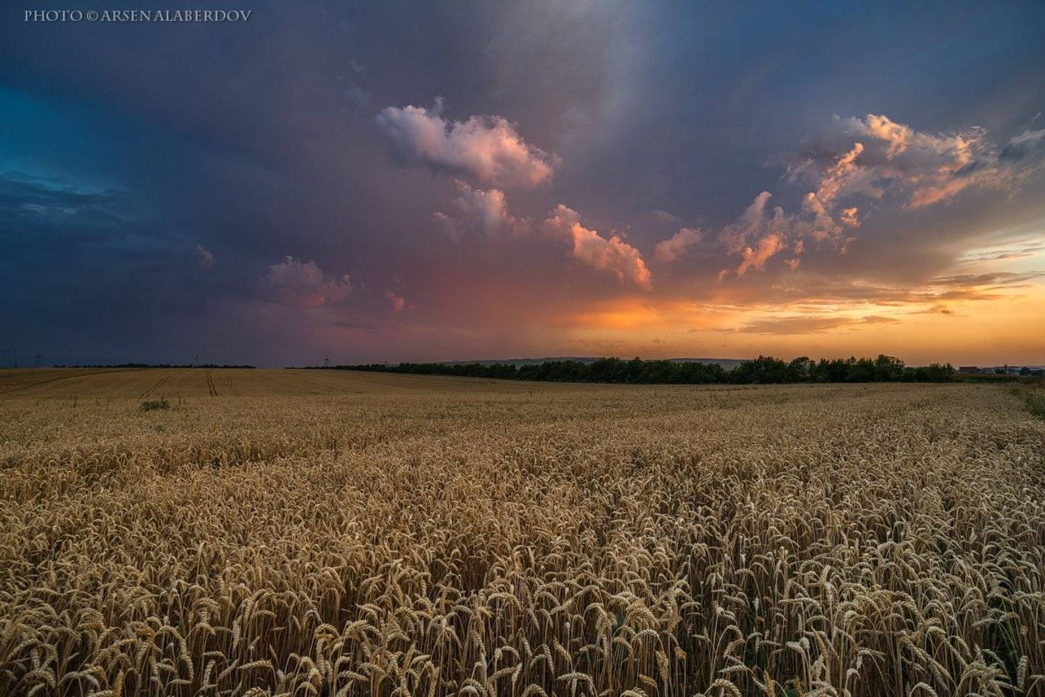 поле,пшеница,рожь,тучи, солнечный свет, скалы, холмы, долина, облака, путешествия, туризм, карачаево-черкесия, кабардино-балкария, северный кавказз , закат, свет, лучи, Арсен Алабердов