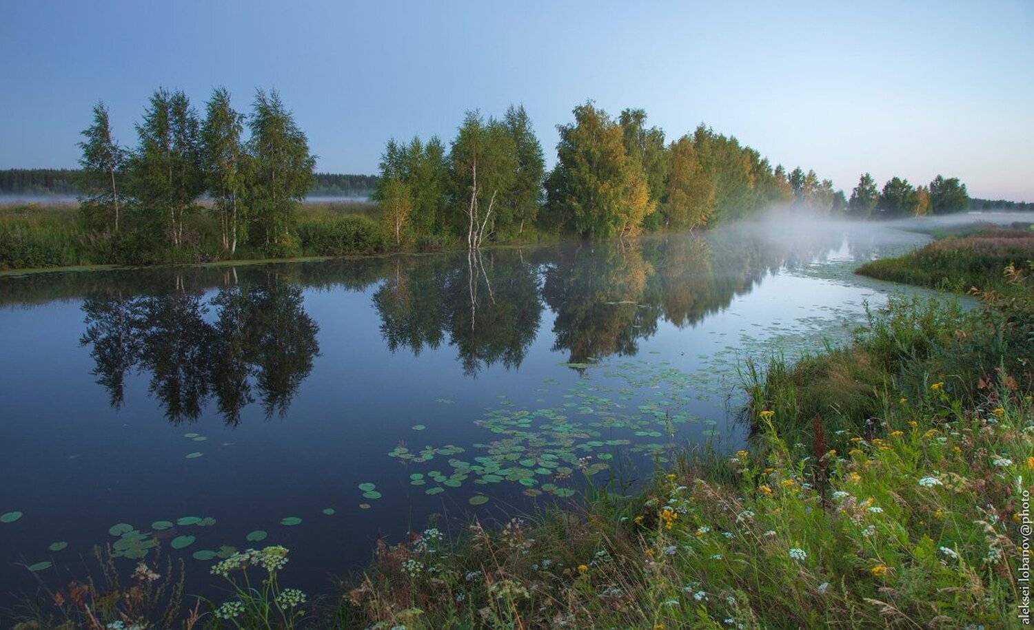 ярославская область, Алексей Лобанов