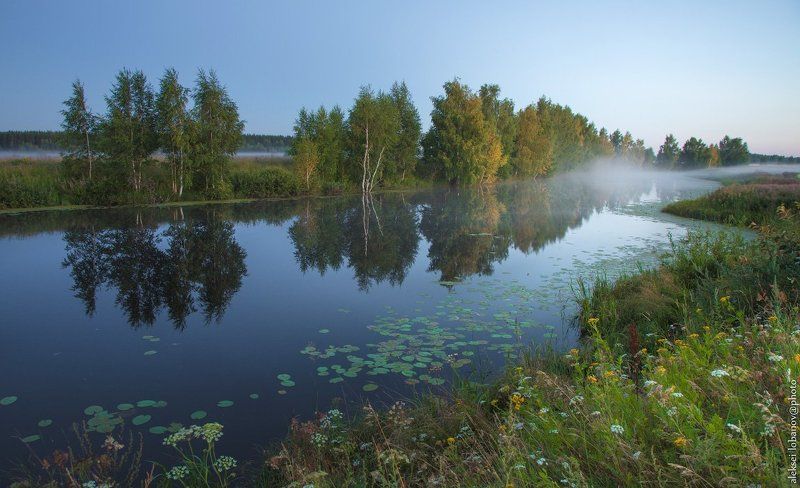 ярославская область Шехромка. Вечер фото превью