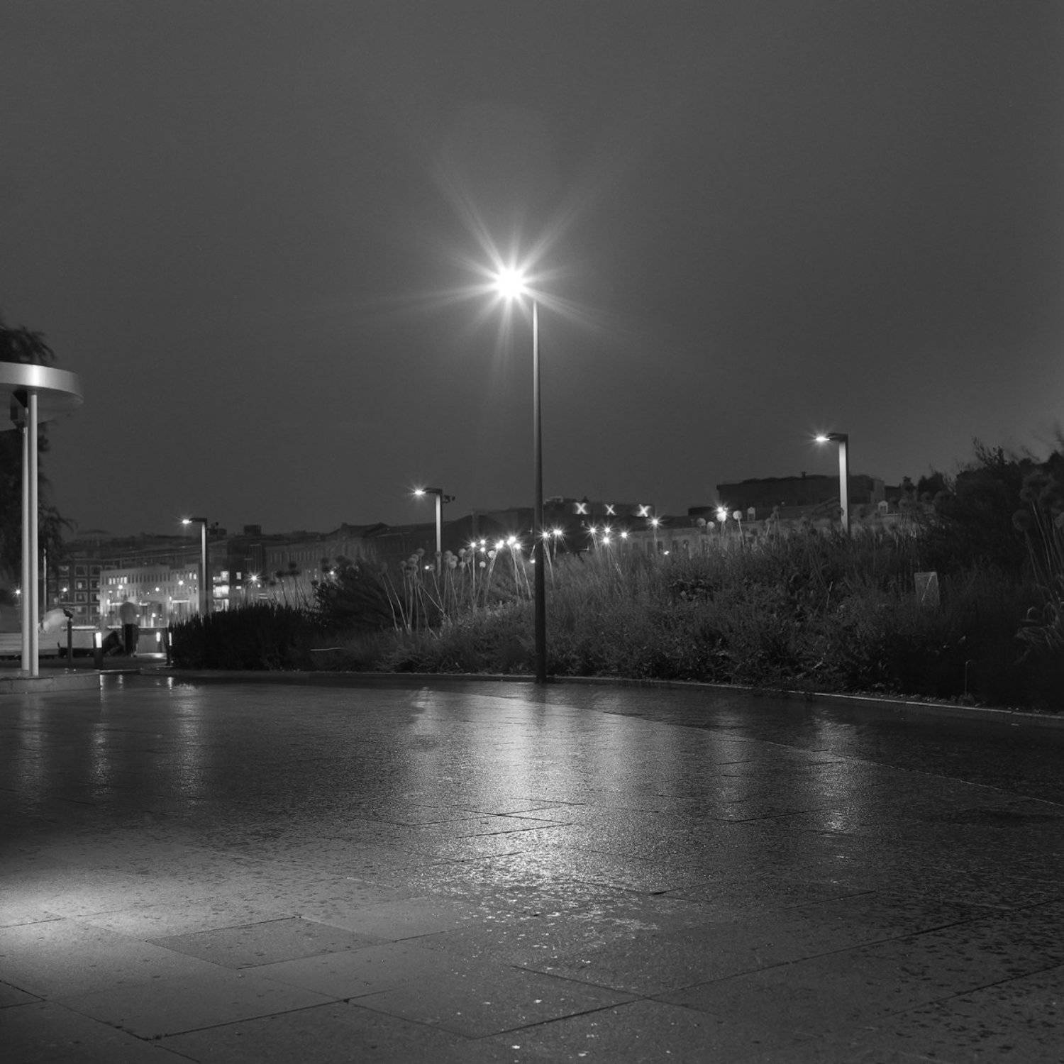 парк. вечер., Александр Резников