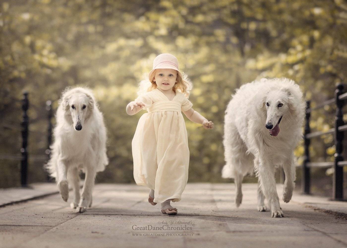 , Андрей Селиверстов