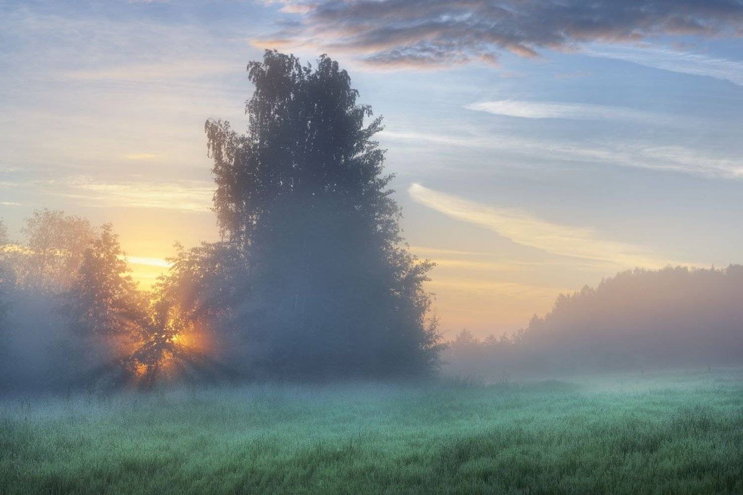 , Дмитрий Медянцев