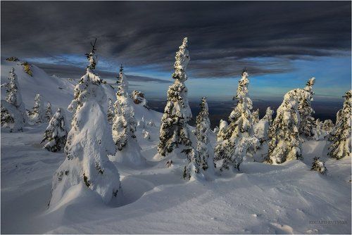 К непогоде.