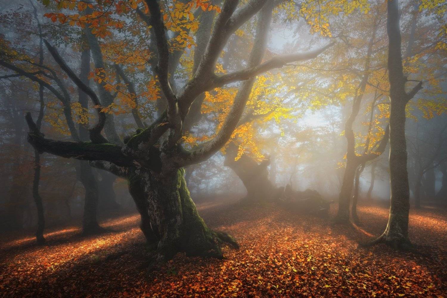 Крым, Демерджи , Ilya Melikhov