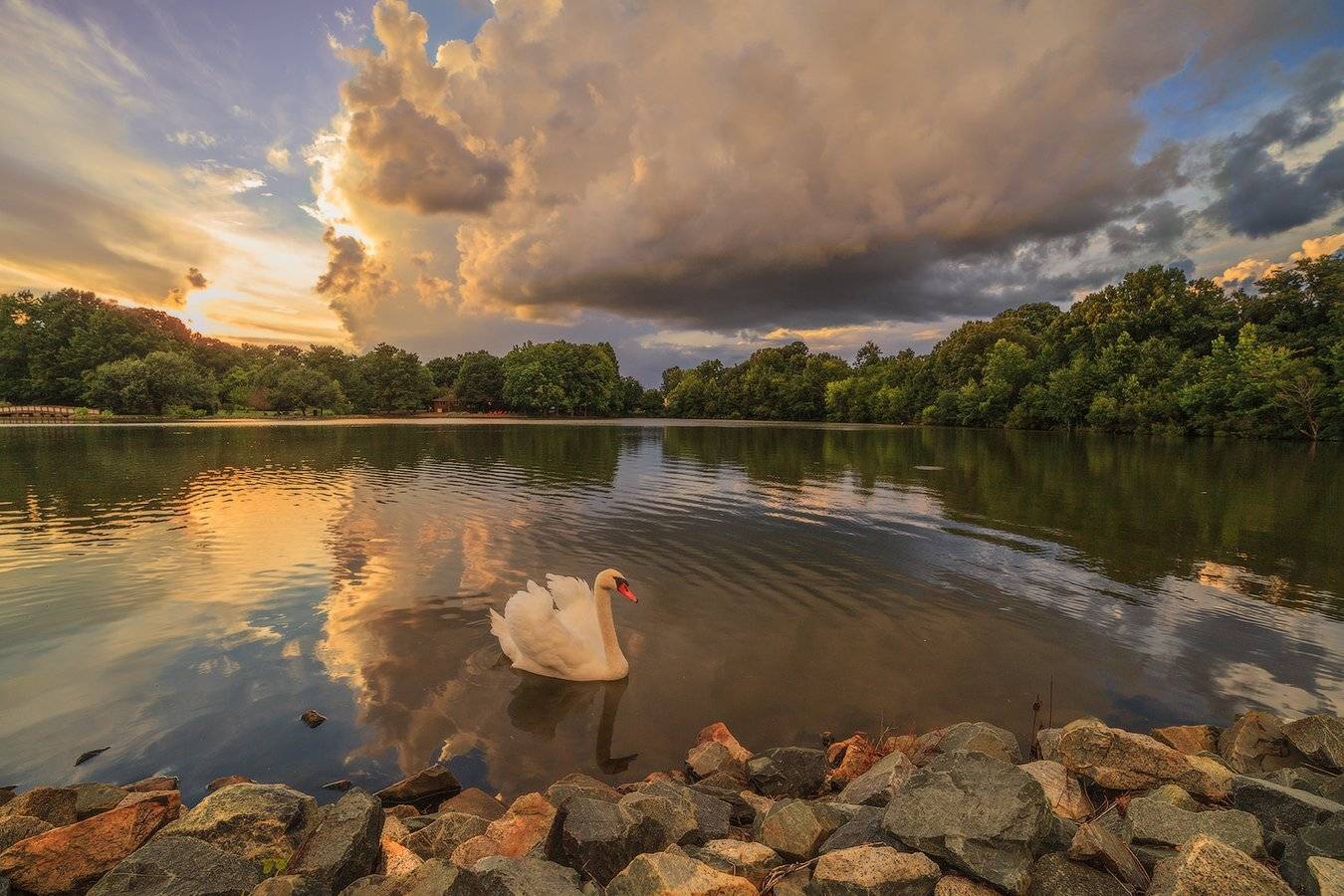 , Леонид Дьяченко