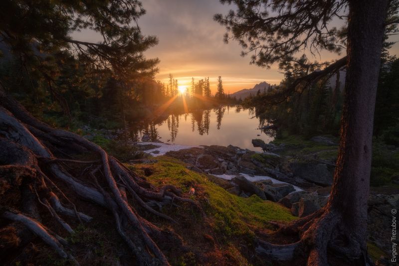 ергаки, природа, пейзаж, саяны, облака, горы, лето, сибирь, вечер, закат, небо, каменный замок, лазурное, красноярск, западные саяны, лес, деревья, солнце Корни саянских гор фото превью