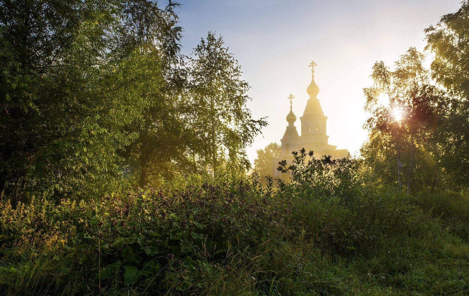 , Александр Казин