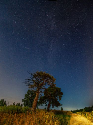 Звездатое небо