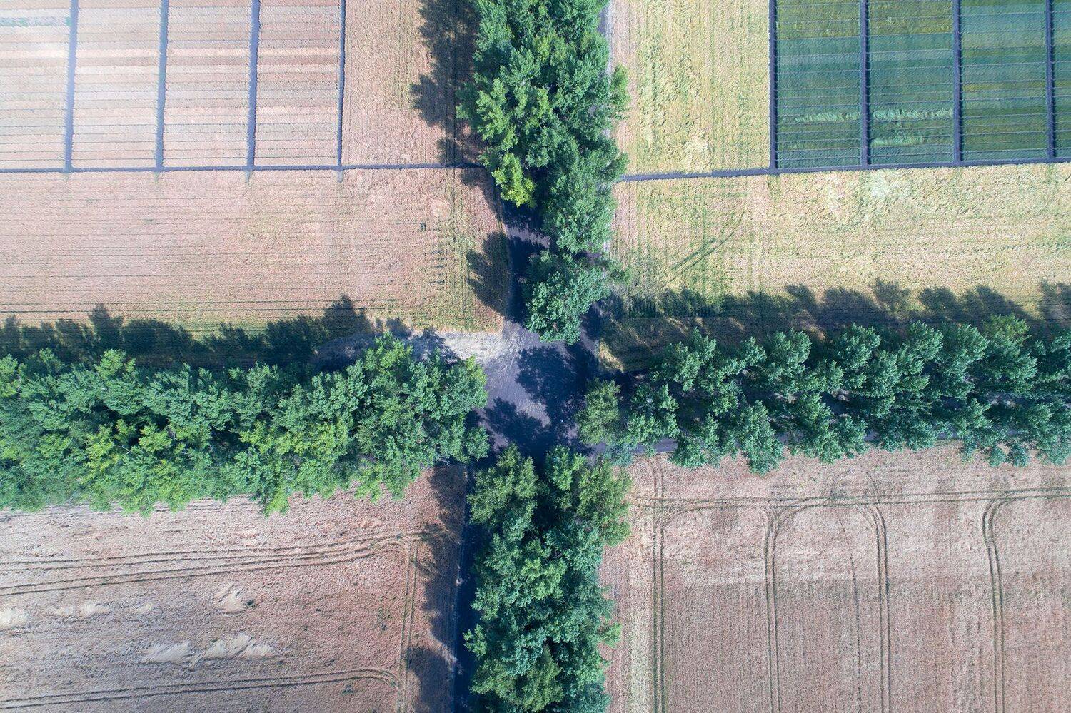 Россия, Воронежская область, поля, тополя, коптер, дрон, аэро, Борис Резванцев