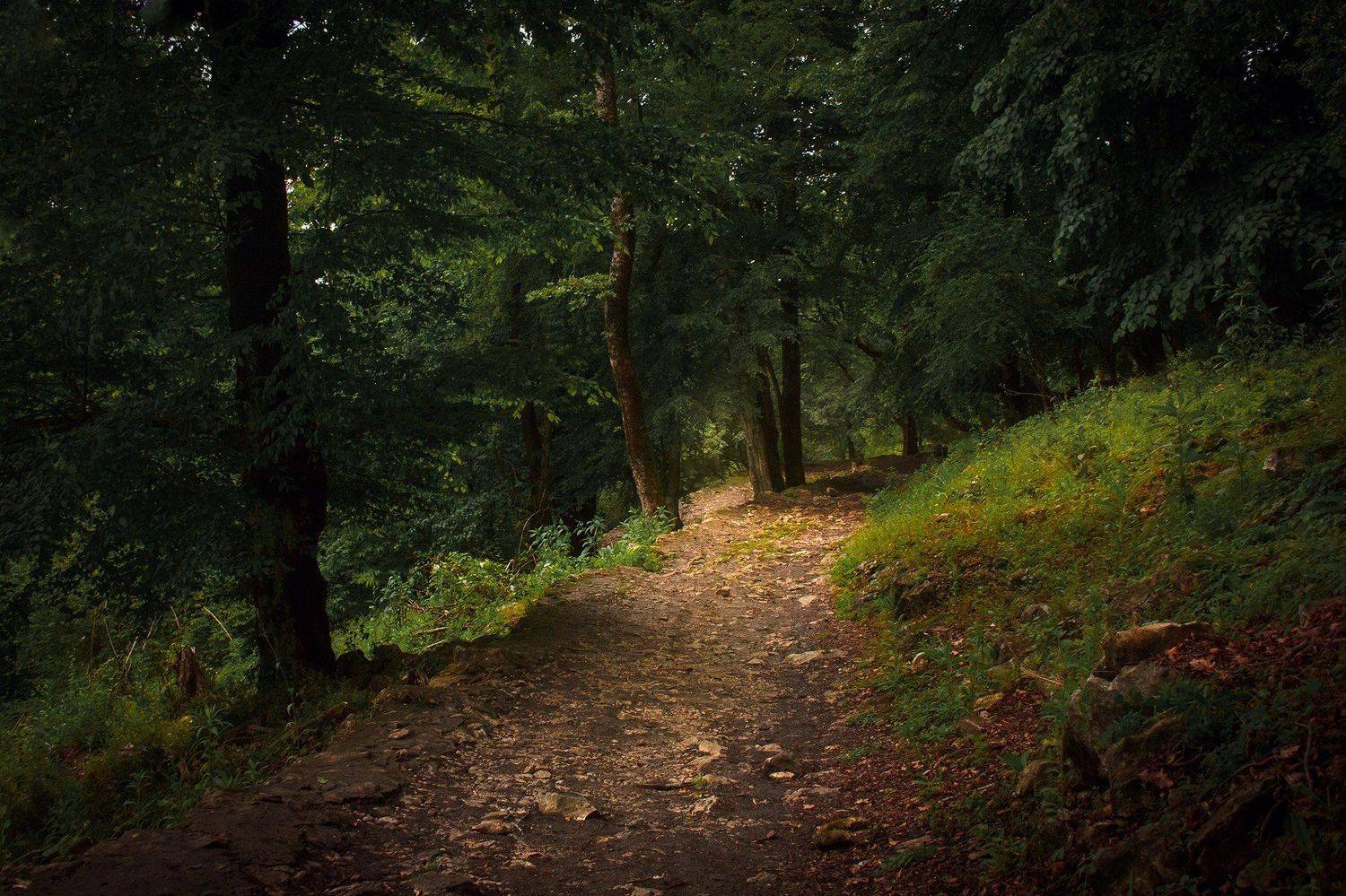 , Евгений Кутузов